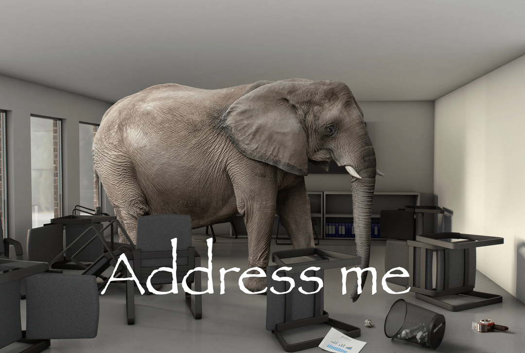 Address me elephant in the room